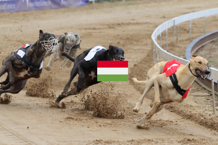 Isaszeg