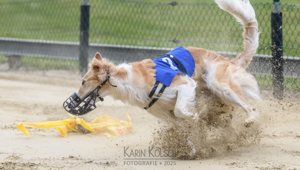 Ergebnisse Endstand 2025